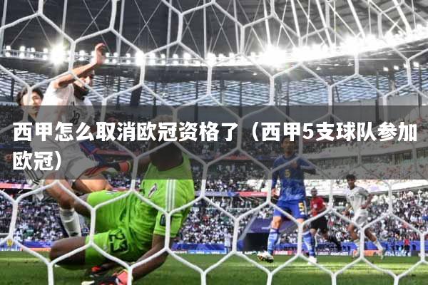 西甲怎么取消欧冠资格了（西甲5支球队参加欧冠）