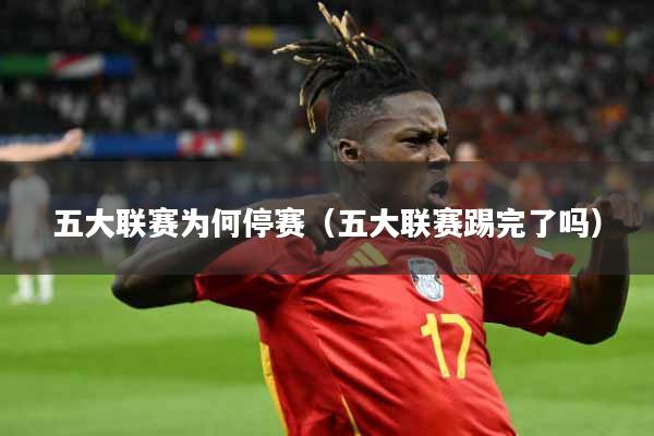 五大联赛为何停赛（五大联赛踢完了吗）