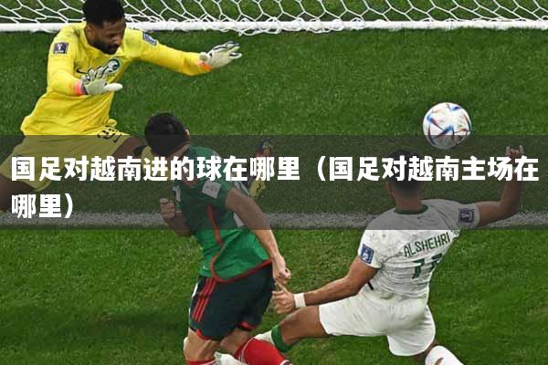 详细阅读:国足对越南进的球在哪里(国足对越南主场在哪里) 国足对越南进的球在哪里(国足对越南主场在哪里)