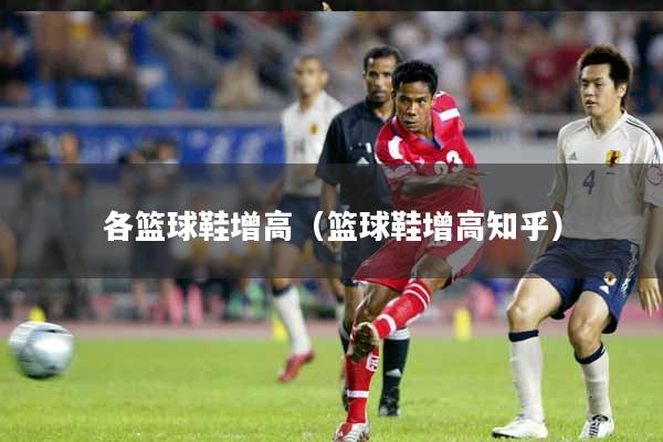 详细阅读:各篮球鞋增高(篮球鞋增高知乎) 各篮球鞋增高(篮球鞋增高知乎)