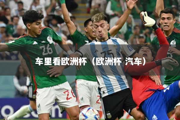 车里看欧洲杯(欧洲杯 汽车)