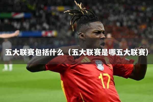 五大联赛包括什么（五大联赛是哪五大联赛）