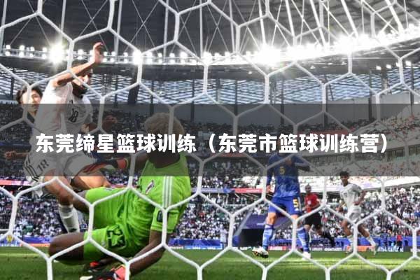 东莞缔星篮球训练（东莞市篮球训练营）