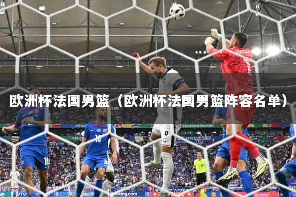 欧洲杯法国男篮（欧洲杯法国男篮阵容名单）