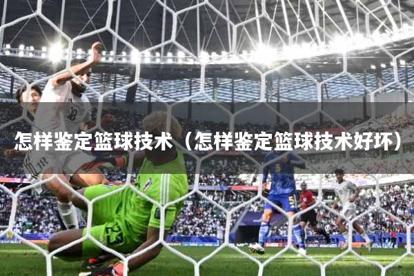 怎样鉴定篮球技术（怎样鉴定篮球技术好坏）